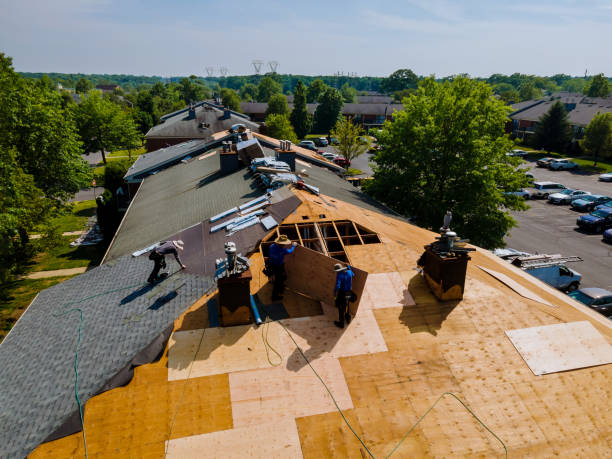 Trusted Flat Roof Repair service in Holly Hill, SC - Brentwood Metal Roofing